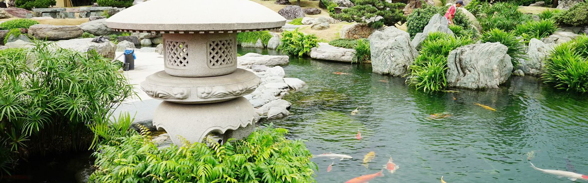 banner koi phú mỹ