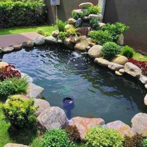 Thi công làm hồ cá koi tại long sơn