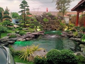 Thiết kế và thi công làm hồ cá koi tại phước lập