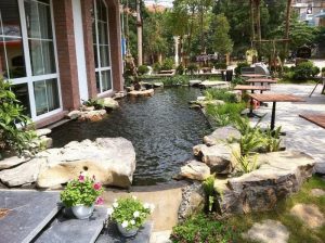 Thiết kế thi công làm hồ cá koi tại sông xoài