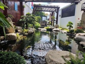 Thiết kế và thi công hồ cá koi tại láng lớn